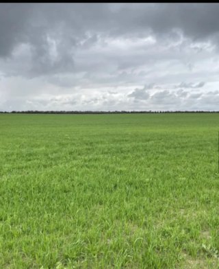 Finca Rústica en Recas (Toledo) - 29.8 Ha