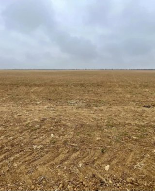 Finca Rústica en Recas (Toledo) - 29.8 Ha