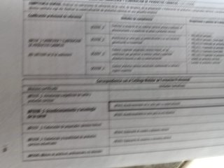 Acondicionamiento de la carne para su comercial...