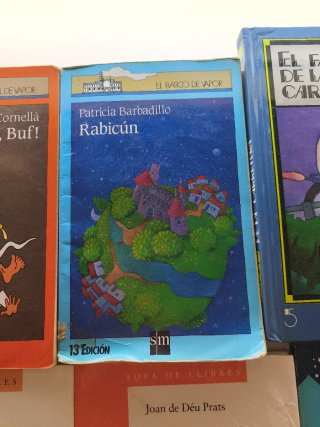 Llibres lectura
