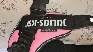 Arnés Julius-K9 para Perro Rosa y Negro