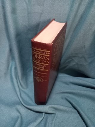 Libro Los Buddenbrook