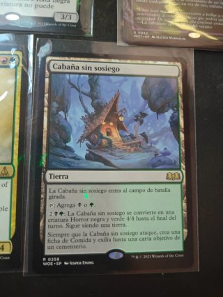 Lote 5 Cartas Magic (Parallel Lives / Vidas)