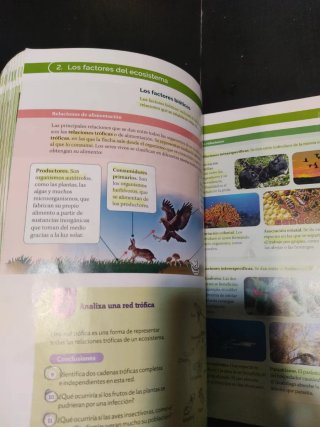 Biología y Geología 1 ESO : Proyecto construyen...