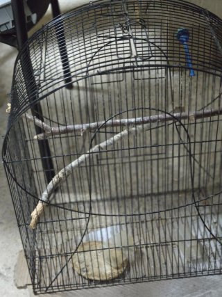 Jaula para pájaros negra