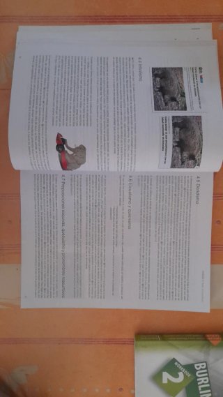 Lengua castellana y literatura