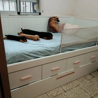 Cama infantil con cajones