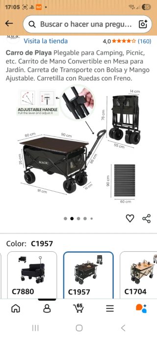 Carro plegable para playa negro