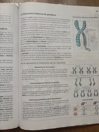 Biología y Geología, 4 ESO, Operación mundo