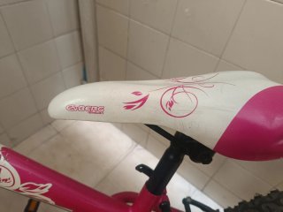 Bici de montaña niña / niño