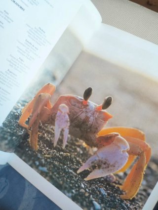 Peces e Invertebrados Marinos