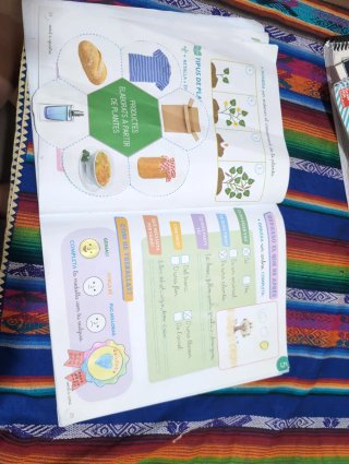 Pack Libros 1r primaria