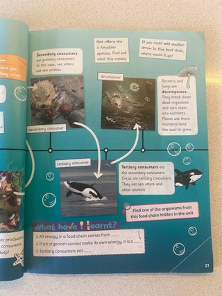 Cambridge Natural Science Level 5 Pupil's Book ...
