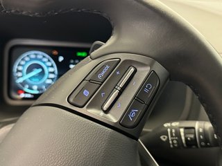 Hyundai Kona Maxx