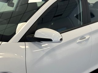 Hyundai Kona Maxx