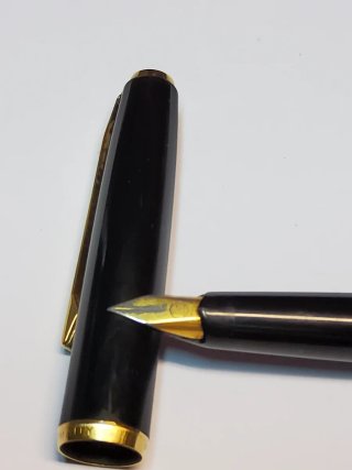 Penna stilografica Pelikan verde e nera