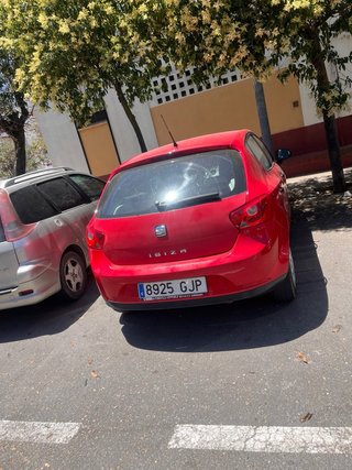 SEAT Ibiza 2009