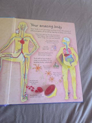 See Inside Your Body