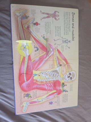 See Inside Your Body
