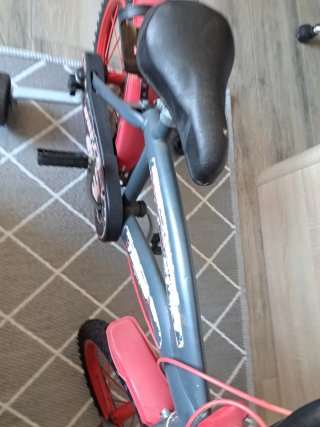 Bicicleta infantil con ruedines