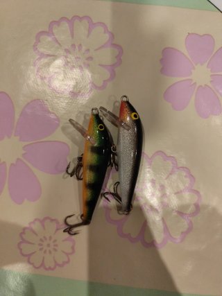 Señuelos Rapala Countdown Sinking