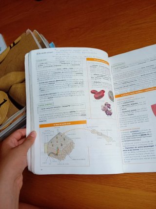 Bioloxía, Xeoloxía e Ciencias Ambientais 1.