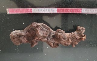 Pack de Dos Troncos Decorativo Madera Acuario