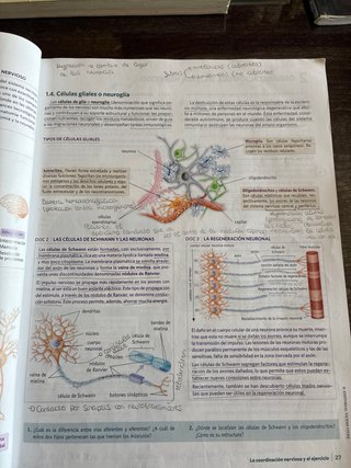 Anatomía Aplicada