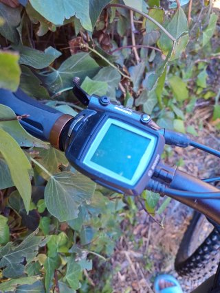 Bicicleta Eléctrica Focus Thron