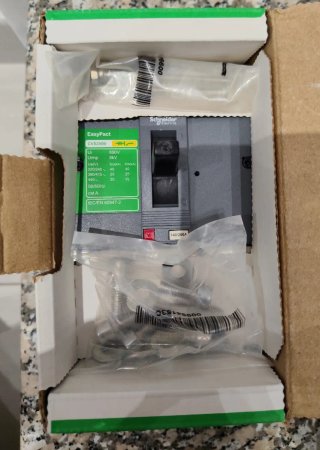 Disyuntor Schneider LV525302 EasyPact CVS250B