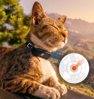Collar GPS Weenect para gatos