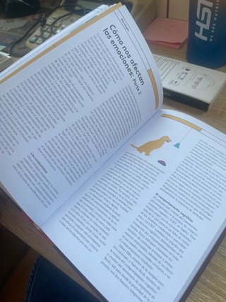 psicologia adentrese en la mente humana