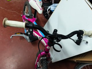 Bicicleta infantil California 16