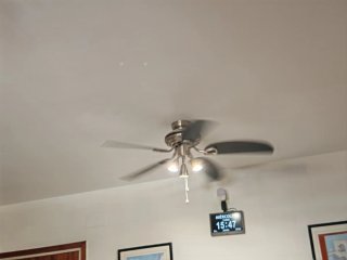Ventiladors de sostre