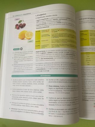 Lengua castellana y Literatura 3 ESO RADIX