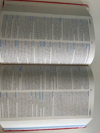Diccionario Secundaria y Bachillerato lengua es...