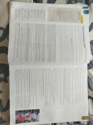 Proyecto Astarté. Lengua castellana y Literatur...