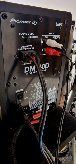 Monitores Pioneer DJ DM-40D Negros