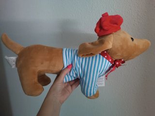 Peluche Perro Salchicha con Ropa