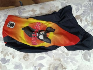 Conjunto culotte + maillot niño Sportful