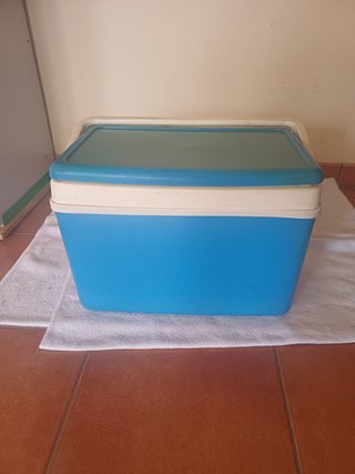 Nevera Portátil Azul y Blanca