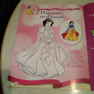 Lote de 2 Fascículos de princesas Disney.