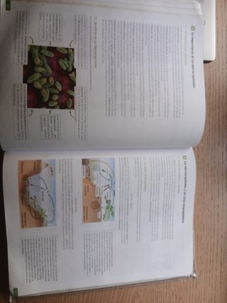 Biología, Geología y Ciencias Ambientales. 1 Ba...