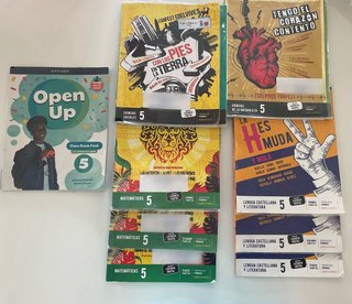 Libros 5 primaria