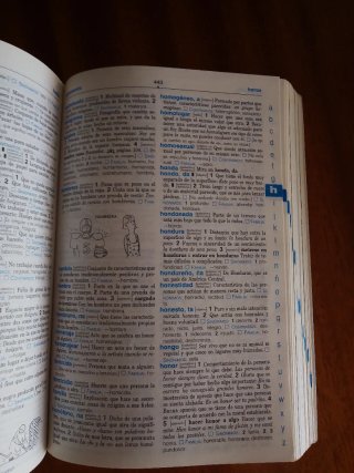 Diccionario primaria nivel básico lengua española