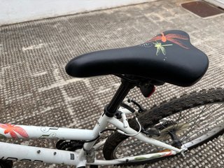 Bicicleta Montaña Infantil Rockrider