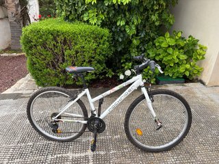 Bicicleta Montaña Infantil Rockrider