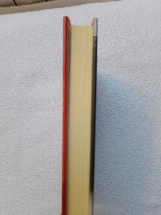 Una vita tutta curve. Dalla passerella all'impe...