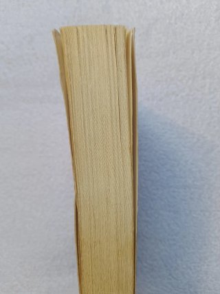 Il cavaliere del vento