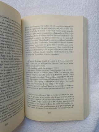 Il cavaliere del vento